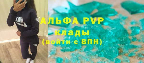 хмурый Каменногорск