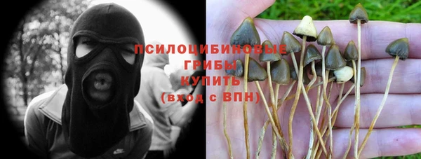 герыч Каменка