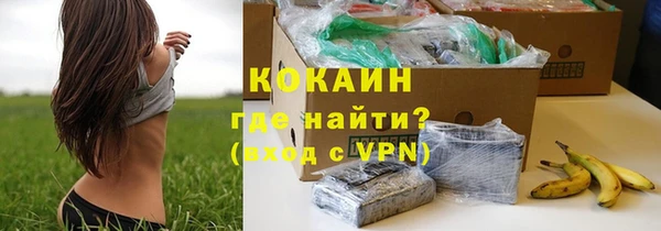 хмурый Каменногорск
