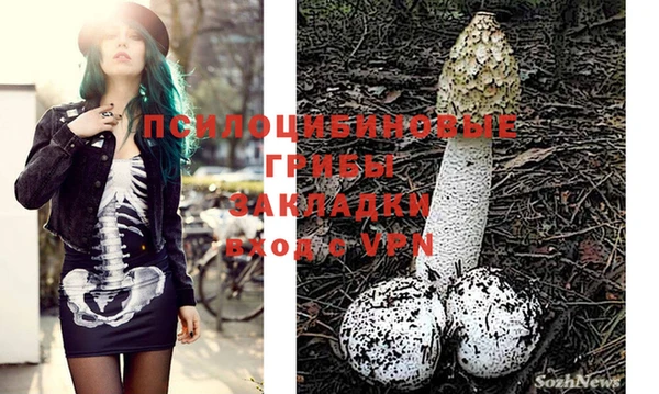 метамфетамин Каменск-Шахтинский