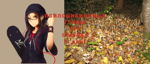 герыч Каменка