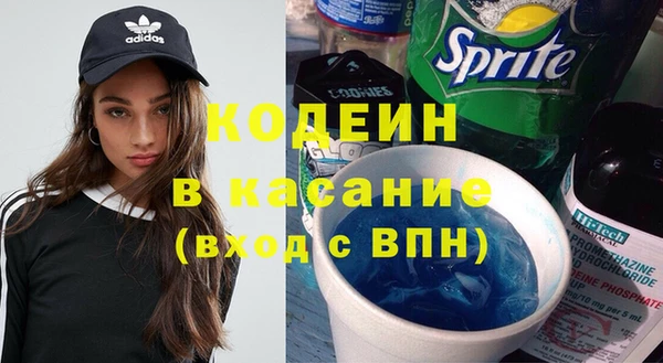 хмурый Каменногорск