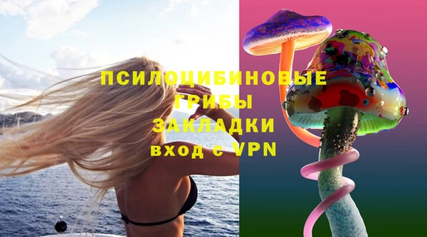 хмурый Каменногорск