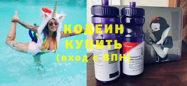 хмурый Каменногорск