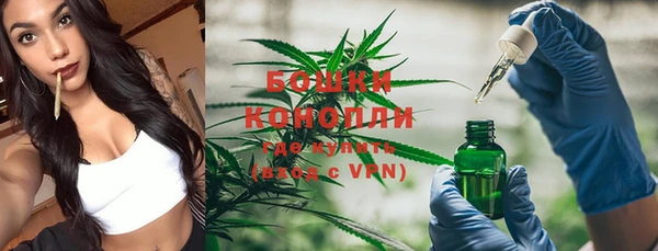 хмурый Каменногорск