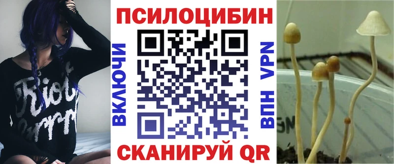 Псилоцибиновые грибы Psilocybe  Руза 