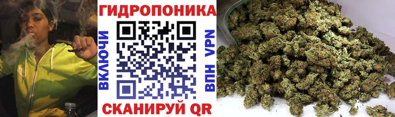 закладки  Руза  Конопля Amnesia 